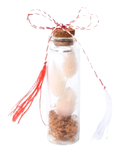 Martisor, cod M8M41