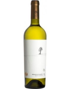 Vin ISSA Sauvignon Blanc Barrique Experience, cod VI10